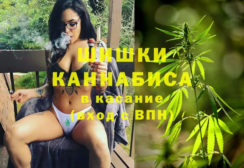 где купить наркоту  Железногорск-Илимский  Шишки марихуана SATIVA & INDICA 